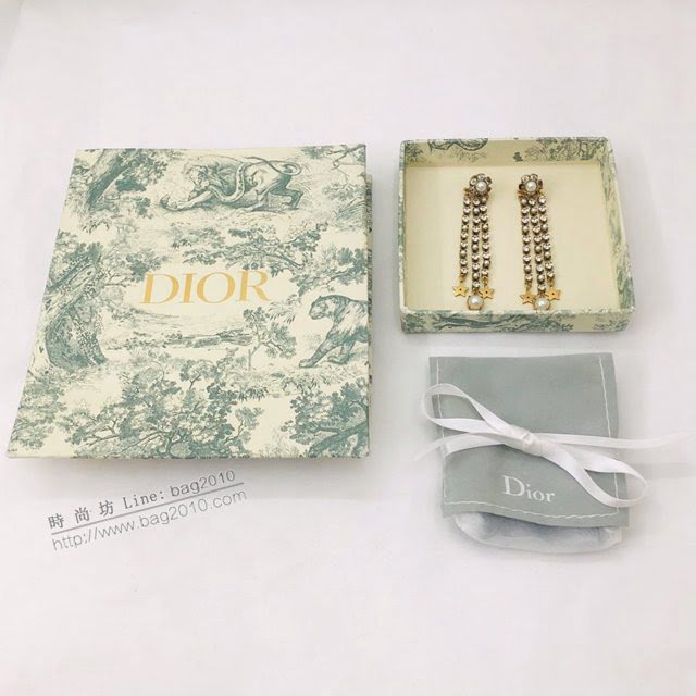 Dior飾品 迪奧經典熱銷款耳釘 Dior流蘇長款耳環  zgd1125